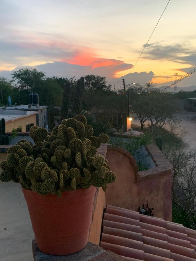 Casa Xochitl Bed & Breakfast El Centenario Ngoại thất bức ảnh
